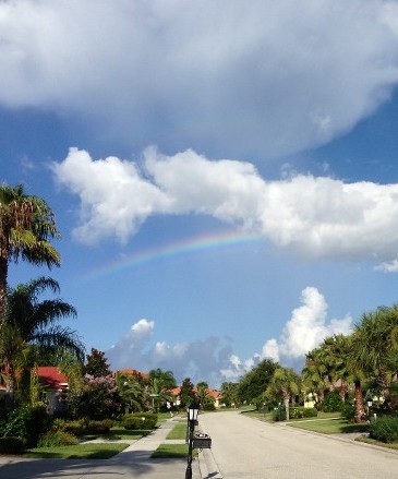 Rainbow in Sarasota, FL